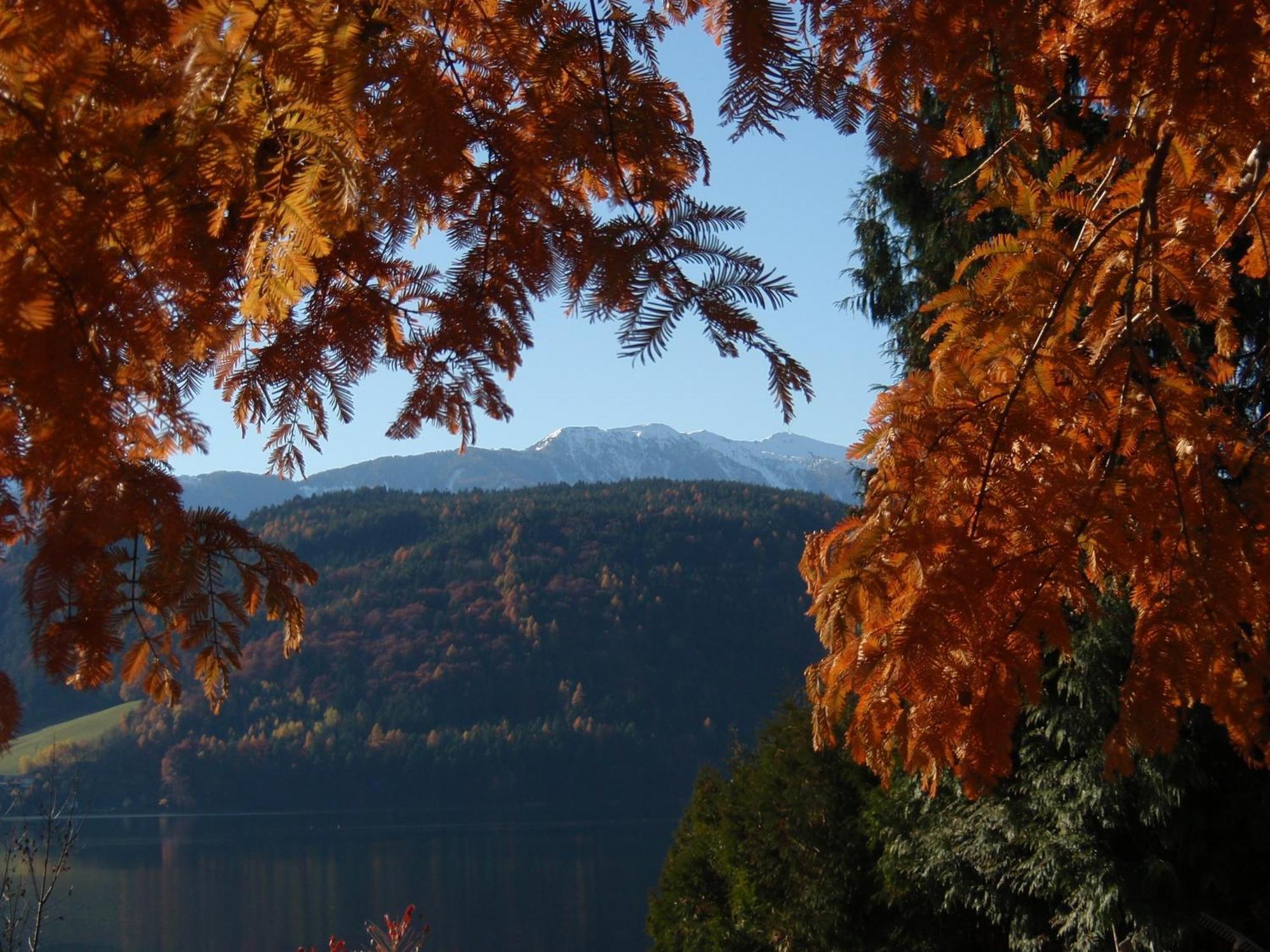 Ferienwohnungen Fischerhaus - Direkt Am See Millstatt Exterior foto